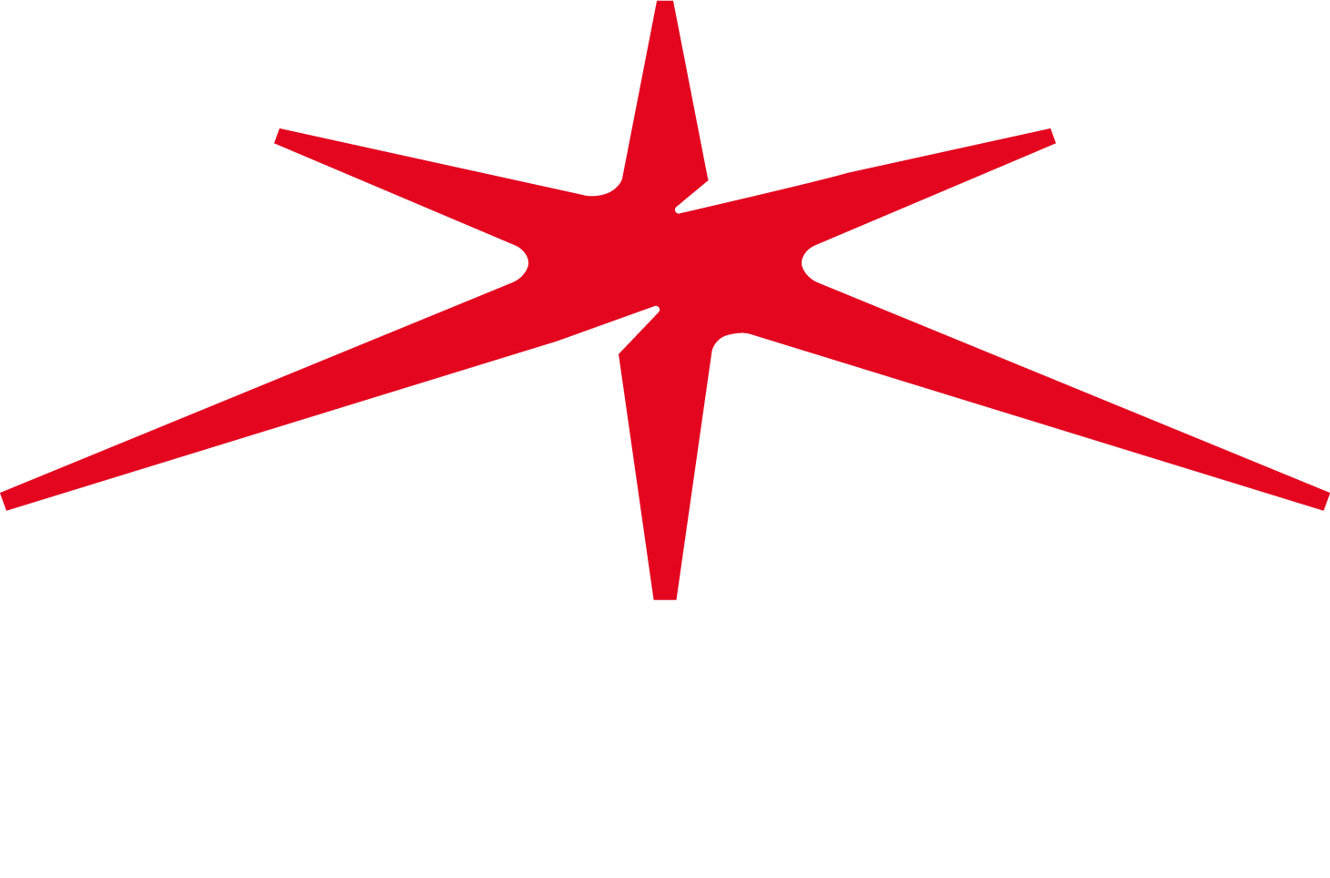 Fahrschule Roadstars